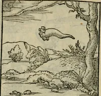 Picture 90 of 195 from Orvs Apollo de Ægypte De la signification des notes hieroglyphiques des Aegyptiens : cest a dire des figures par les quelles ilz escripuoient leurs mysteres secretz, & les choses sainctes & diuines (1543), leaf 103