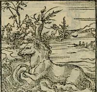 Picture 91 of 195 from Orvs Apollo de Ægypte De la signification des notes hieroglyphiques des Aegyptiens : cest a dire des figures par les quelles ilz escripuoient leurs mysteres secretz, & les choses sainctes & diuines (1543), leaf 105