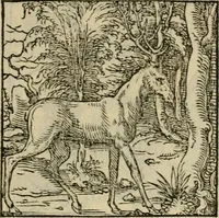 Picture 92 of 195 from Orvs Apollo de Ægypte De la signification des notes hieroglyphiques des Aegyptiens : cest a dire des figures par les quelles ilz escripuoient leurs mysteres secretz, & les choses sainctes & diuines (1543), leaf 106