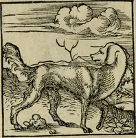 Picture 94 of 195 from Orvs Apollo de Ægypte De la signification des notes hieroglyphiques des Aegyptiens : cest a dire des figures par les quelles ilz escripuoient leurs mysteres secretz, & les choses sainctes & diuines (1543), leaf 107