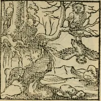 Picture 97 of 195 from Orvs Apollo de Ægypte De la signification des notes hieroglyphiques des Aegyptiens : cest a dire des figures par les quelles ilz escripuoient leurs mysteres secretz, & les choses sainctes & diuines (1543), leaf 110