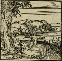 Picture 103 of 195 from Orvs Apollo de Ægypte De la signification des notes hieroglyphiques des Aegyptiens : cest a dire des figures par les quelles ilz escripuoient leurs mysteres secretz, & les choses sainctes & diuines (1543), leaf 116