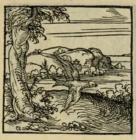 Picture 104 of 195 from Orvs Apollo de Ægypte De la signification des notes hieroglyphiques des Aegyptiens : cest a dire des figures par les quelles ilz escripuoient leurs mysteres secretz, & les choses sainctes & diuines (1543), leaf 117