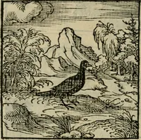 Picture 105 of 195 from Orvs Apollo de Ægypte De la signification des notes hieroglyphiques des Aegyptiens : cest a dire des figures par les quelles ilz escripuoient leurs mysteres secretz, & les choses sainctes & diuines (1543), leaf 117