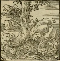Picture 4 of 195 from Orvs Apollo de Ægypte De la signification des notes hieroglyphiques des Aegyptiens : cest a dire des figures par les quelles ilz escripuoient leurs mysteres secretz, & les choses sainctes & diuines (1543), leaf 12