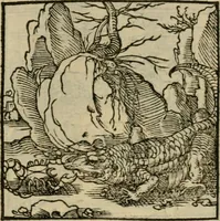 Picture 108 of 195 from Orvs Apollo de Ægypte De la signification des notes hieroglyphiques des Aegyptiens : cest a dire des figures par les quelles ilz escripuoient leurs mysteres secretz, & les choses sainctes & diuines (1543), leaf 120