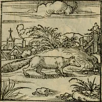 Picture 109 of 195 from Orvs Apollo de Ægypte De la signification des notes hieroglyphiques des Aegyptiens : cest a dire des figures par les quelles ilz escripuoient leurs mysteres secretz, & les choses sainctes & diuines (1543), leaf 121