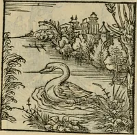 Picture 111 of 195 from Orvs Apollo de Ægypte De la signification des notes hieroglyphiques des Aegyptiens : cest a dire des figures par les quelles ilz escripuoient leurs mysteres secretz, & les choses sainctes & diuines (1543), leaf 124