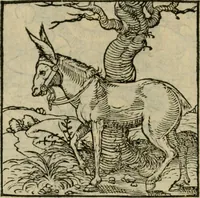 Picture 114 of 195 from Orvs Apollo de Ægypte De la signification des notes hieroglyphiques des Aegyptiens : cest a dire des figures par les quelles ilz escripuoient leurs mysteres secretz, & les choses sainctes & diuines (1543), leaf 127
