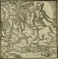 Picture 5 of 195 from Orvs Apollo de Ægypte De la signification des notes hieroglyphiques des Aegyptiens : cest a dire des figures par les quelles ilz escripuoient leurs mysteres secretz, & les choses sainctes & diuines (1543), leaf 13