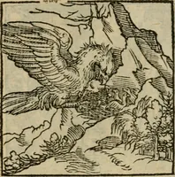 Picture 118 of 195 from Orvs Apollo de Ægypte De la signification des notes hieroglyphiques des Aegyptiens : cest a dire des figures par les quelles ilz escripuoient leurs mysteres secretz, & les choses sainctes & diuines (1543), leaf 134