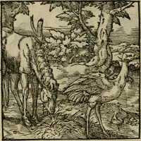 Picture 119 of 195 from Orvs Apollo de Ægypte De la signification des notes hieroglyphiques des Aegyptiens : cest a dire des figures par les quelles ilz escripuoient leurs mysteres secretz, & les choses sainctes & diuines (1543), leaf 135
