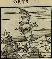 Picture 121 of 195 from Orvs Apollo de Ægypte De la signification des notes hieroglyphiques des Aegyptiens : cest a dire des figures par les quelles ilz escripuoient leurs mysteres secretz, & les choses sainctes & diuines (1543), leaf 137