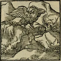 Picture 126 of 195 from Orvs Apollo de Ægypte De la signification des notes hieroglyphiques des Aegyptiens : cest a dire des figures par les quelles ilz escripuoient leurs mysteres secretz, & les choses sainctes & diuines (1543), leaf 141