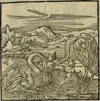 Picture 127 of 195 from Orvs Apollo de Ægypte De la signification des notes hieroglyphiques des Aegyptiens : cest a dire des figures par les quelles ilz escripuoient leurs mysteres secretz, & les choses sainctes & diuines (1543), leaf 143