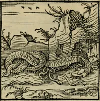 Picture 129 of 195 from Orvs Apollo de Ægypte De la signification des notes hieroglyphiques des Aegyptiens : cest a dire des figures par les quelles ilz escripuoient leurs mysteres secretz, & les choses sainctes & diuines (1543), leaf 145