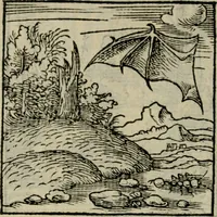 Picture 132 of 195 from Orvs Apollo de Ægypte De la signification des notes hieroglyphiques des Aegyptiens : cest a dire des figures par les quelles ilz escripuoient leurs mysteres secretz, & les choses sainctes & diuines (1543), leaf 149