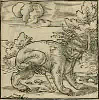 Picture 134 of 195 from Orvs Apollo de Ægypte De la signification des notes hieroglyphiques des Aegyptiens : cest a dire des figures par les quelles ilz escripuoient leurs mysteres secretz, & les choses sainctes & diuines (1543), leaf 152