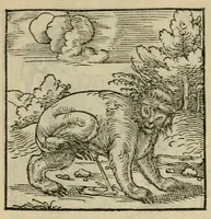 Picture 135 of 195 from Orvs Apollo de Ægypte De la signification des notes hieroglyphiques des Aegyptiens : cest a dire des figures par les quelles ilz escripuoient leurs mysteres secretz, & les choses sainctes & diuines (1543), leaf 153