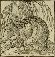 Picture 137 of 195 from Orvs Apollo de Ægypte De la signification des notes hieroglyphiques des Aegyptiens : cest a dire des figures par les quelles ilz escripuoient leurs mysteres secretz, & les choses sainctes & diuines (1543), leaf 154