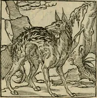 Picture 139 of 195 from Orvs Apollo de Ægypte De la signification des notes hieroglyphiques des Aegyptiens : cest a dire des figures par les quelles ilz escripuoient leurs mysteres secretz, & les choses sainctes & diuines (1543), leaf 156