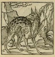 An illustration from Orvs Apollo de Ægypte De la signification des notes hieroglyphiques des Aegyptiens : cest a dire des figures par les quelles ilz escripuoient leurs mysteres secretz, & les choses sainctes & diuines (1543)
