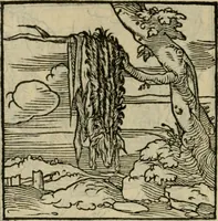 Picture 141 of 195 from Orvs Apollo de Ægypte De la signification des notes hieroglyphiques des Aegyptiens : cest a dire des figures par les quelles ilz escripuoient leurs mysteres secretz, & les choses sainctes & diuines (1543), leaf 157