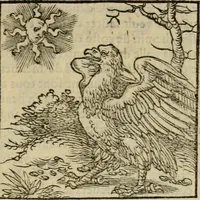 An illustration from Orvs Apollo de Ægypte De la signification des notes hieroglyphiques des Aegyptiens : cest a dire des figures par les quelles ilz escripuoient leurs mysteres secretz, & les choses sainctes & diuines (1543)