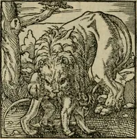 Picture 145 of 195 from Orvs Apollo de Ægypte De la signification des notes hieroglyphiques des Aegyptiens : cest a dire des figures par les quelles ilz escripuoient leurs mysteres secretz, & les choses sainctes & diuines (1543), leaf 161