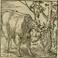 Picture 146 of 195 from Orvs Apollo de Ægypte De la signification des notes hieroglyphiques des Aegyptiens : cest a dire des figures par les quelles ilz escripuoient leurs mysteres secretz, & les choses sainctes & diuines (1543), leaf 162