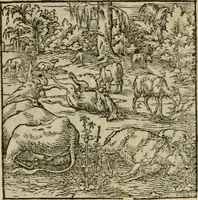 Picture 147 of 195 from Orvs Apollo de Ægypte De la signification des notes hieroglyphiques des Aegyptiens : cest a dire des figures par les quelles ilz escripuoient leurs mysteres secretz, & les choses sainctes & diuines (1543), leaf 164