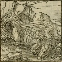 Picture 148 of 195 from Orvs Apollo de Ægypte De la signification des notes hieroglyphiques des Aegyptiens : cest a dire des figures par les quelles ilz escripuoient leurs mysteres secretz, & les choses sainctes & diuines (1543), leaf 166