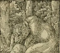 An illustration from Orvs Apollo de Ægypte De la signification des notes hieroglyphiques des Aegyptiens : cest a dire des figures par les quelles ilz escripuoient leurs mysteres secretz, & les choses sainctes & diuines (1543)