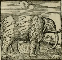 An illustration from Orvs Apollo de Ægypte De la signification des notes hieroglyphiques des Aegyptiens : cest a dire des figures par les quelles ilz escripuoient leurs mysteres secretz, & les choses sainctes & diuines (1543)
