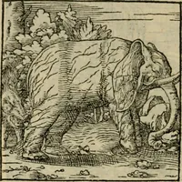 Picture 153 of 195 from Orvs Apollo de Ægypte De la signification des notes hieroglyphiques des Aegyptiens : cest a dire des figures par les quelles ilz escripuoient leurs mysteres secretz, & les choses sainctes & diuines (1543), leaf 171