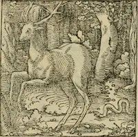 Picture 154 of 195 from Orvs Apollo de Ægypte De la signification des notes hieroglyphiques des Aegyptiens : cest a dire des figures par les quelles ilz escripuoient leurs mysteres secretz, & les choses sainctes & diuines (1543), leaf 172