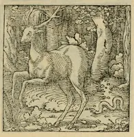 Picture 155 of 195 from Orvs Apollo de Ægypte De la signification des notes hieroglyphiques des Aegyptiens : cest a dire des figures par les quelles ilz escripuoient leurs mysteres secretz, & les choses sainctes & diuines (1543), leaf 173