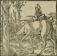 An illustration from Orvs Apollo de Ægypte De la signification des notes hieroglyphiques des Aegyptiens : cest a dire des figures par les quelles ilz escripuoient leurs mysteres secretz, & les choses sainctes & diuines (1543)
