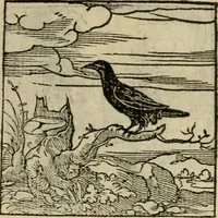 An illustration from Orvs Apollo de Ægypte De la signification des notes hieroglyphiques des Aegyptiens : cest a dire des figures par les quelles ilz escripuoient leurs mysteres secretz, & les choses sainctes & diuines (1543)