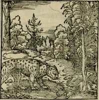 Picture 158 of 195 from Orvs Apollo de Ægypte De la signification des notes hieroglyphiques des Aegyptiens : cest a dire des figures par les quelles ilz escripuoient leurs mysteres secretz, & les choses sainctes & diuines (1543), leaf 175