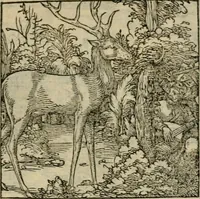 Picture 159 of 195 from Orvs Apollo de Ægypte De la signification des notes hieroglyphiques des Aegyptiens : cest a dire des figures par les quelles ilz escripuoient leurs mysteres secretz, & les choses sainctes & diuines (1543), leaf 176