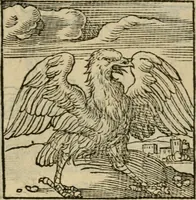 An illustration from Orvs Apollo de Ægypte De la signification des notes hieroglyphiques des Aegyptiens : cest a dire des figures par les quelles ilz escripuoient leurs mysteres secretz, & les choses sainctes & diuines (1543)