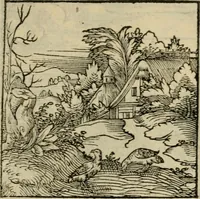 An illustration from Orvs Apollo de Ægypte De la signification des notes hieroglyphiques des Aegyptiens : cest a dire des figures par les quelles ilz escripuoient leurs mysteres secretz, & les choses sainctes & diuines (1543)