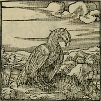 An illustration from Orvs Apollo de Ægypte De la signification des notes hieroglyphiques des Aegyptiens : cest a dire des figures par les quelles ilz escripuoient leurs mysteres secretz, & les choses sainctes & diuines (1543)