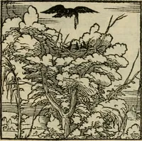 Picture 165 of 195 from Orvs Apollo de Ægypte De la signification des notes hieroglyphiques des Aegyptiens : cest a dire des figures par les quelles ilz escripuoient leurs mysteres secretz, & les choses sainctes & diuines (1543), leaf 182