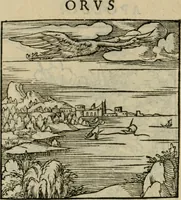 Picture 166 of 195 from Orvs Apollo de Ægypte De la signification des notes hieroglyphiques des Aegyptiens : cest a dire des figures par les quelles ilz escripuoient leurs mysteres secretz, & les choses sainctes & diuines (1543), leaf 183