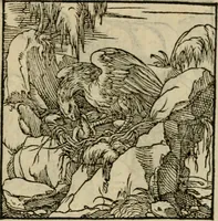 Picture 167 of 195 from Orvs Apollo de Ægypte De la signification des notes hieroglyphiques des Aegyptiens : cest a dire des figures par les quelles ilz escripuoient leurs mysteres secretz, & les choses sainctes & diuines (1543), leaf 184