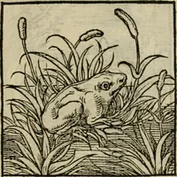 Picture 169 of 195 from Orvs Apollo de Ægypte De la signification des notes hieroglyphiques des Aegyptiens : cest a dire des figures par les quelles ilz escripuoient leurs mysteres secretz, & les choses sainctes & diuines (1543), leaf 186