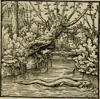 Picture 172 of 195 from Orvs Apollo de Ægypte De la signification des notes hieroglyphiques des Aegyptiens : cest a dire des figures par les quelles ilz escripuoient leurs mysteres secretz, & les choses sainctes & diuines (1543), leaf 188
