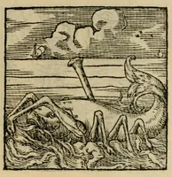 Picture 175 of 195 from Orvs Apollo de Ægypte De la signification des notes hieroglyphiques des Aegyptiens : cest a dire des figures par les quelles ilz escripuoient leurs mysteres secretz, & les choses sainctes & diuines (1543), leaf 191